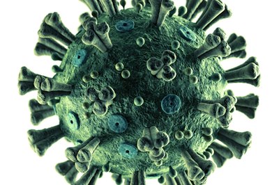 Coronavirus - Key questions every business needs to ask