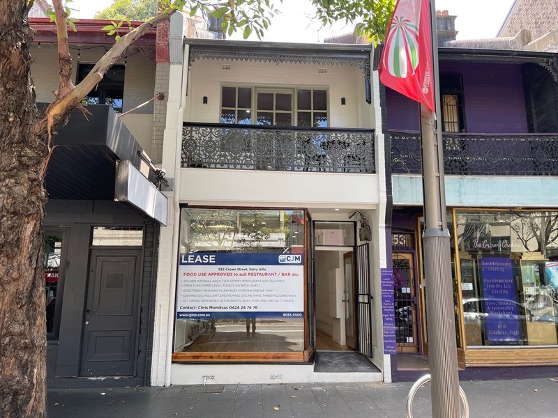 Shop, 555 Crown Street, Surry Hills, NSW 2010 - Property 227184 - Image 1