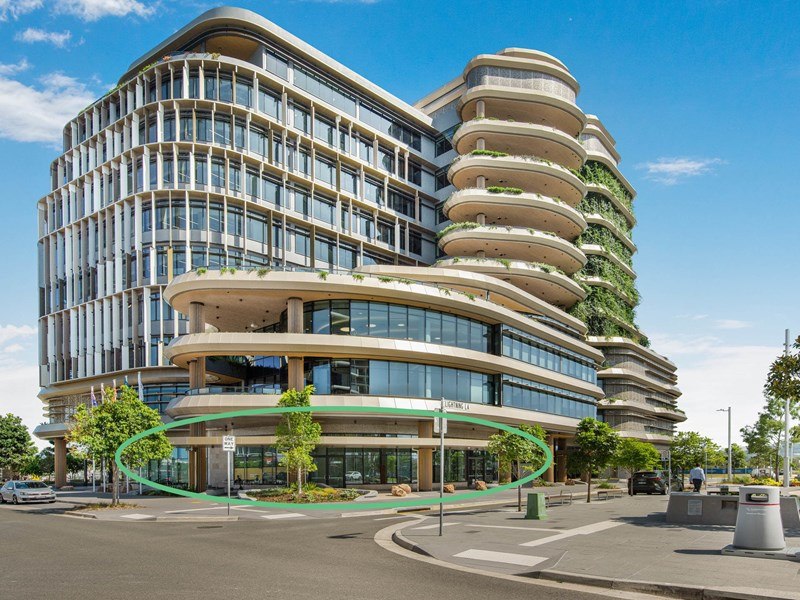 54 First Avenue, Maroochydore, QLD 4558 - Property 427577 - Image 1