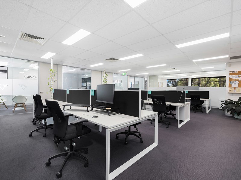 Suite 3, B/49 Frenchs Forest Road, Frenchs Forest, NSW 2086 - Property 436779 - Image 1