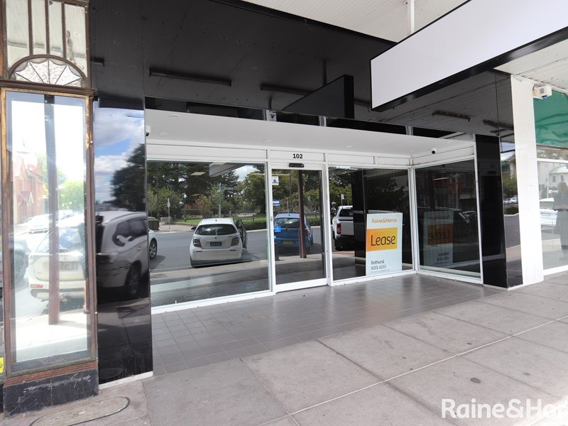 102 William Street, Bathurst, NSW 2795 - Property 441998 - Image 1