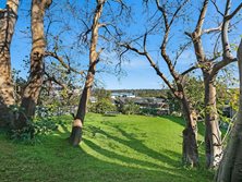 173 Warringah Road, Beacon Hill, NSW 2100 - Property 368538 - Image 10