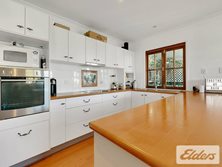 43 Latrobe Terrace, Paddington, QLD 4064 - Property 384723 - Image 5