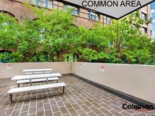 Suite 15, 330 Wattle Street, Ultimo, NSW 2007 - Property 418618 - Image 6