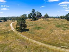 630 & 640 Old South Road, Mittagong, NSW 2575 - Property 425656 - Image 12