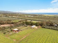 FOR SALE - Development/Land | Rural | Other - 3737 Main South Road, Sellicks Hill, SA 5174