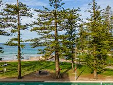 12 The Strand, Dee Why, NSW 2099 - Property 436396 - Image 4