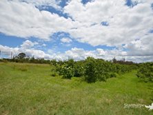 28 Goodwin Road, Thulimbah, QLD 4376 - Property 440216 - Image 21